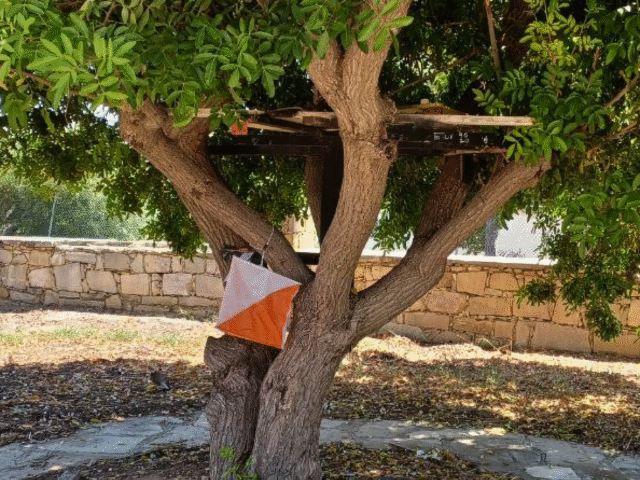 O’League 2025, Event 5, Episkopi Village, Results